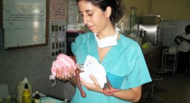 cuneo-concorso-ostetrica