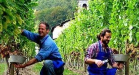 Lavoro commercio e turismo: voucher sempre più apprezzati in Friuli Venezia Giulia 