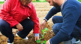 Erasmus per aspiranti imprenditori agricoli: ecco come partecipare