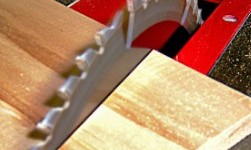 Ferrara personale per negozio fai da te