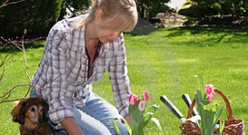 voucher-lavori-sociali-provincia-spezia