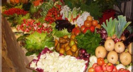 corso settore biologico