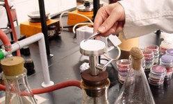 disoccupato cavia esperimenti