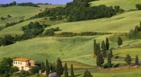 Lavoro agricoltura: Toscana, premio insediamento per i giovani