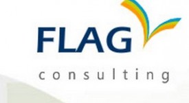 Flag Consulting ricerca personale