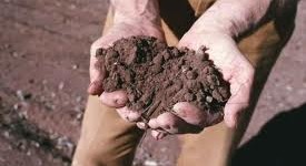 manodopera agricola