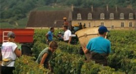 voucher-lavoro-occasionale-progetto-regione-lazio