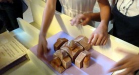 ancona corso operatore sociale museo