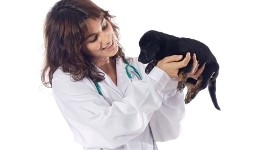 Attractive lady veterinarian over a white background