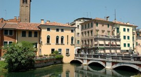 Cercasi istruttore servizi culturali a Treviso 