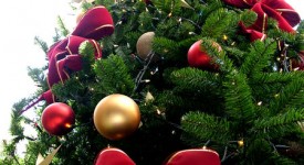 lavoro natale 2017
