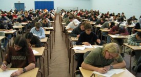 impiegato informatica