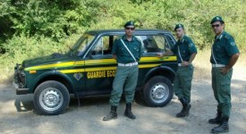 Concorso Corpo Forestale dello Stato 2011