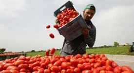 Procedura assunzione extracomunitari semplificata lavoro-procedura-extracomunitari