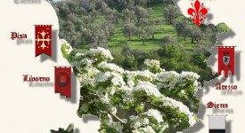 toscana_stemmi