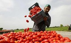 lavoratori-stranieri-contratti-tempo-indeterminato