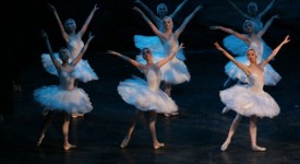 Casting danzatori e danzatrici per la nuova produzione Il Lago dei Cigni