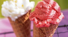 Corso di alta formazione per il gelato artigianale – giugno 2012