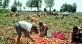 inail-indicazioni-situazione-lavoratori-irregolari