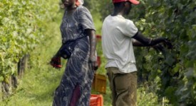 Sanatoria immigrati: modalità per ottenere Durc regolare e Pat 