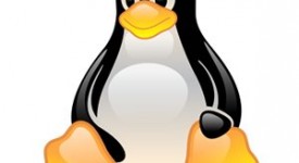 Offerta di lavoro Roma sistemista Linux – Unix ottobre 2012