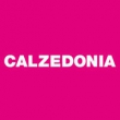 Calzedonia cerca addette alle vendite in tutta Italia