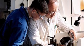 occupazione-giovanile-ministero-lavoro-apprendistato