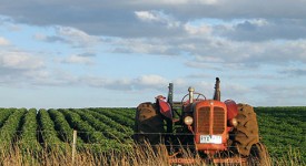 Chiarimenti dal Ministero del Lavoro sulla sicurezza delle macchine agricole semoventi-motoagricole