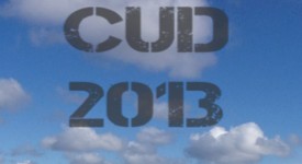 Cud 2013: on line la versione definitiva