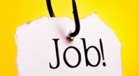 amo_job
