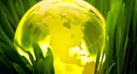 Come diventare volontario ecologico