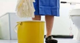 chiarimenti-contribuzione-domestica-con-lesclusione-aspi-inps