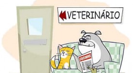 Concorso per dirigenti veterinari in Trentino Alto Adige