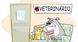 Come diventare veterinario aviario