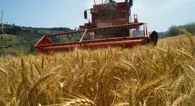 inps-pubblica-elenco-lavoratori-agricoli