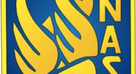 logo-anas, anas