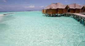 maldive