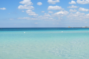 mare
