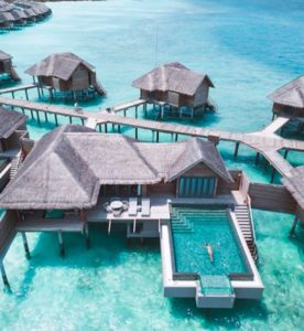 Cercasi libraio per resort di lusso alle Maldive, come candidarsi