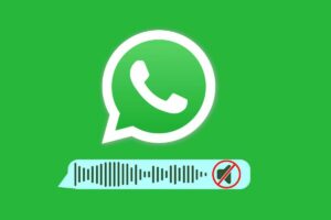 audio WhatsApp